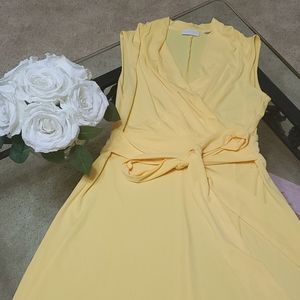 🚨Final Price Drop!🚨 New York & Company Dress